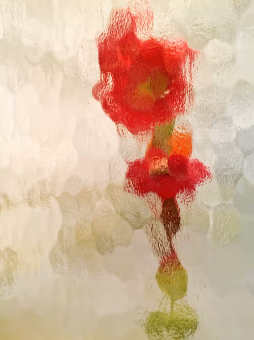 Item #89907656702044614453321074325488619524252991044225286845467716153064804057089 Media