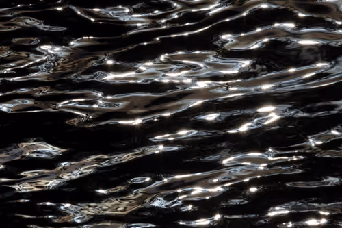 Item #81441334517361708208394031135700195474624799851237506988747108053558644178945 Media