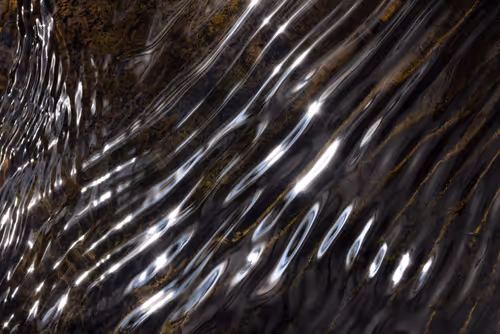 Item #81441334517361708208394031135700195474624799851237506988747108143718597656577 Media