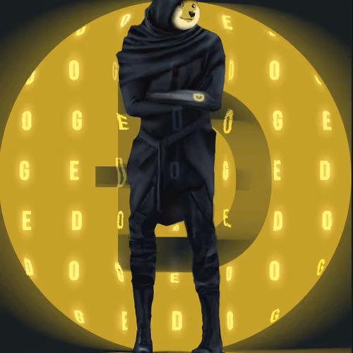 DiscoDoge Assassin