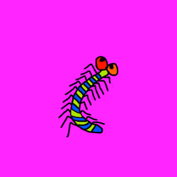 gejigeji