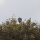 89172129720886648036807795116566036481674654944492279906955746383163331444737