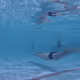 76201227697970477458616806869318805503529406320704102676281472949314218098689