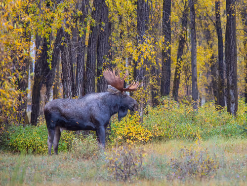 Item #19207338348144225692080396183640865546201068415206893468727031828875629821953 Media