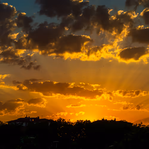 Silkyssunset