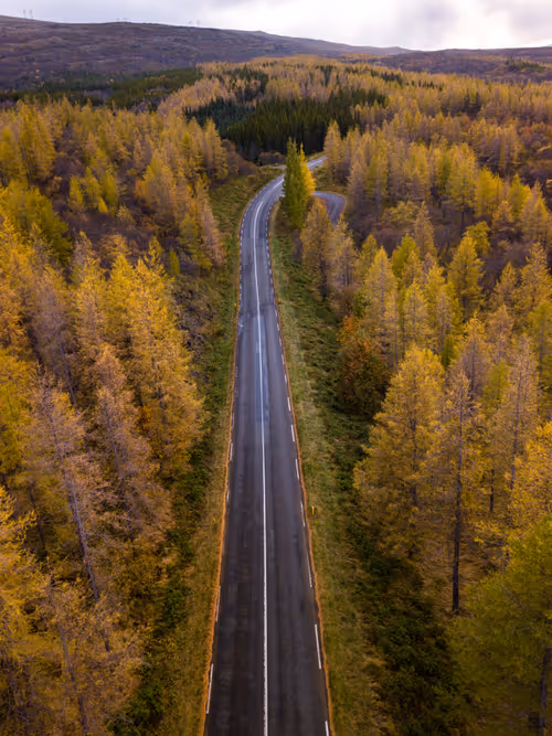 Item #44131874298875972966188340329792406803890393372749528843369689113732038262785 Media