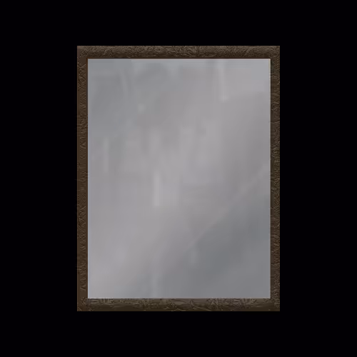 Mirrored  Reflections