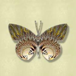 FractalWings#98