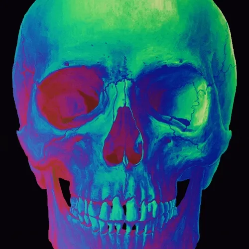 Memento Mori #125