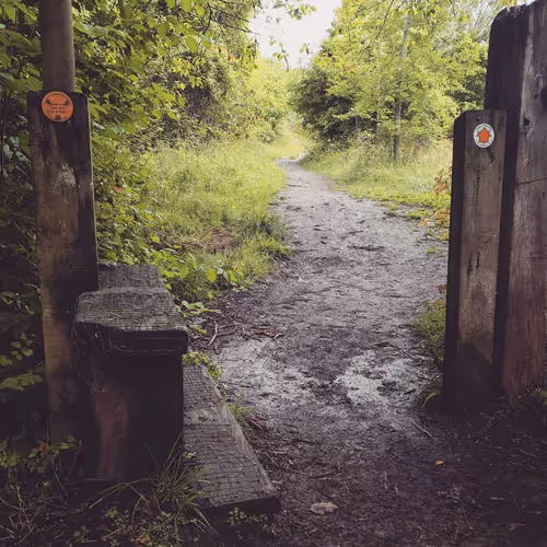 Item #105237010342582609876748436582366170093723610565651913513256945289681914822657 Media