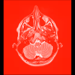 64162533542198579898252916190583583845604629893829087458582975798569064202241