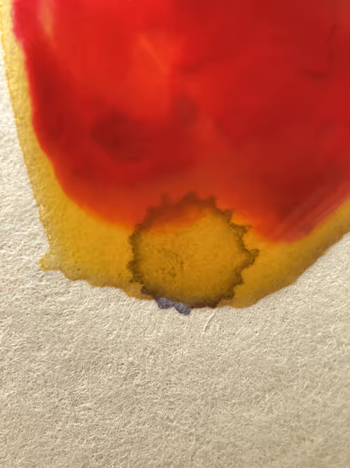 Item #101798116254510798330486236990451841615541533753866395116378150775176879407105 Media