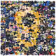 72313549958186400623516579222099753259770590924826109399862158083174497779713