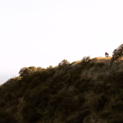 75109235862128497830080651224249141730045542266059207742369836529299788660737