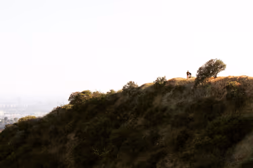 Item #75109235862128497830080651224249141730045542266059207742369836529299788660737 Media