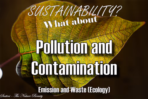 Item #93613396688638017464317025240290185264434684879039933742438228966284852199425 Media