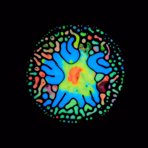 Item #39853347361311550538823328626004824816221754573894422864413753285710180253697 Media