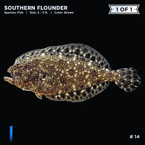 Item #72122608948950586905896945235695353296847960895015423047944334417107995328513 Media