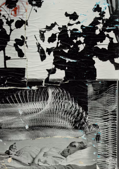 Item #2516007715202185053718990134291191675195070426454176286317332055665745592321 Media