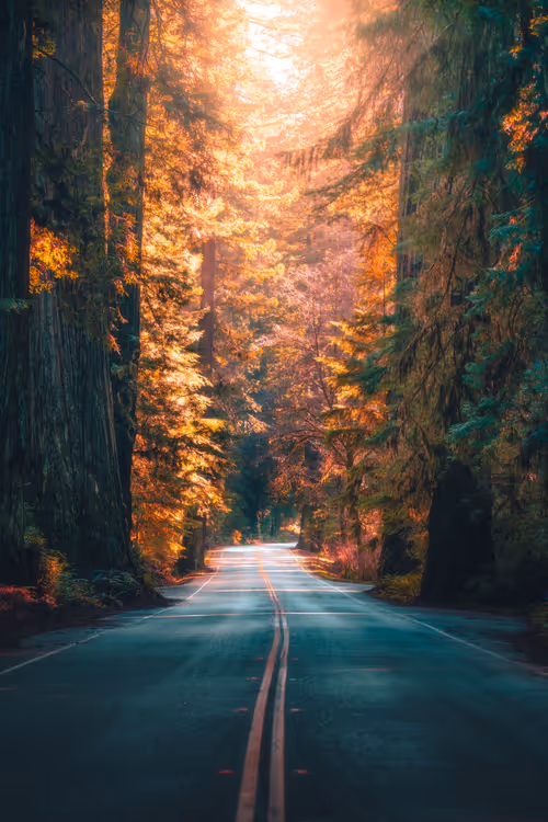 Item #62546128571173573861370652936856218284243546780344801453551937502524781625345 Media