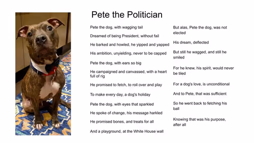 Item #20038973743233294056584381137576175223397750640616128058375055336661911076865 Media