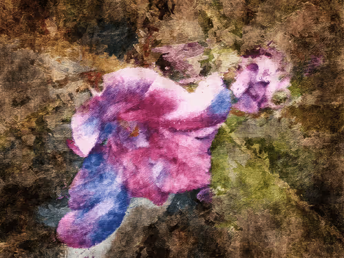 Item #69261177602478584146078213691104273677815526894191982293268527866138465402881 Media