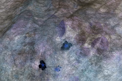 Item #40278163781146387807919824223492945877750948775305722317404597003095281500161 Media