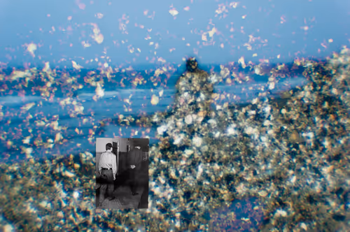 Item #27953109564246580957882021021992577706177357945792236001331994402414751907841 Media