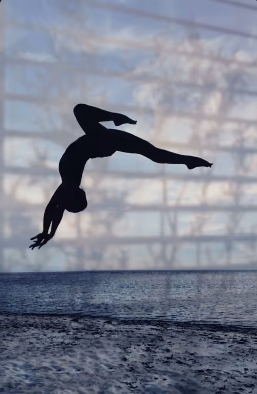 Item #115642408388959763138582677501026631661310444847639864622941383435535716974593 Media