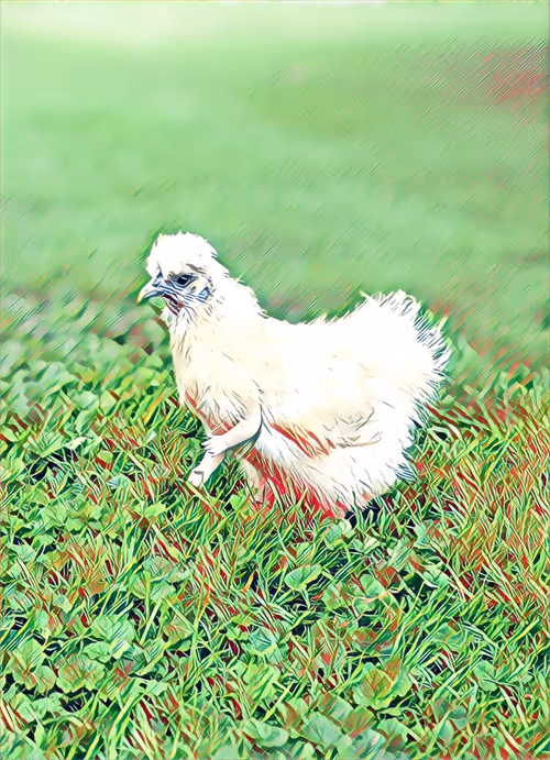 Item #12986001583624842443475589555777676835882886084855718816066093905971679068161 Media