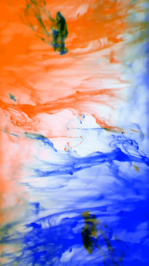 Item #31305712980941030161867633175304117506253559023819364015858336206312091680769 Media