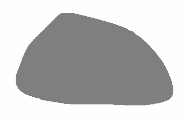 rtradecoins Collection