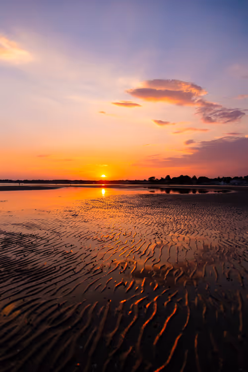 Item #111174009616639200000012101968861275422099781399944675221188828359197466820609 Media