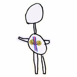 #11 Endocrine System