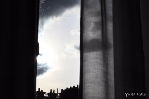 Item #111326101478107214990251795731047965840392207690526379209547236966393993756673 Media