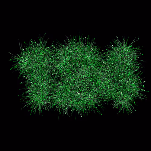 Item #31186271462743839332083495437684930572283654238385709344730711002588079194113 Media