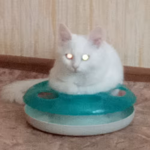 Item #763224073280193224173041358155125596503139434424356380946212167357202169857 Media