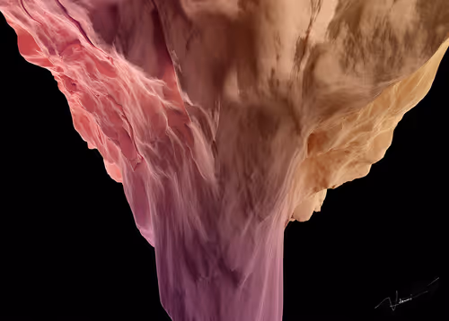 Item #87855534987201374925371944818297600221317149567981150322417554456102395969537 Media