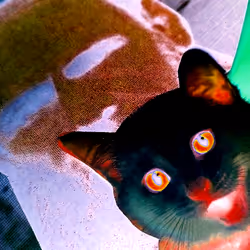 4747115153065902387790593868107453782499677024781155622119190056572125446145