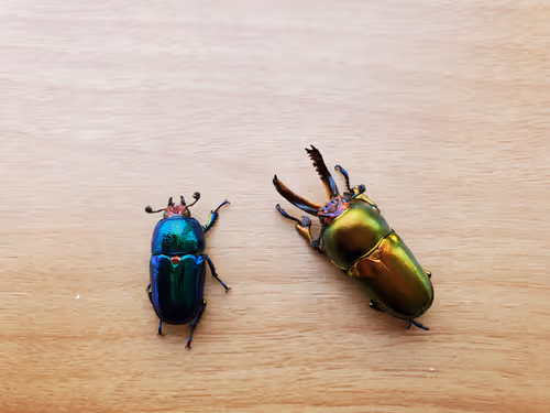 Item #2846893736148873774746802631495866819654136602576950046920721055776170311682 Media