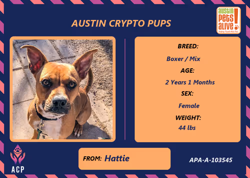 Item #17951378556605612276483806045649535824451571419947225201384628589816826560513 Media