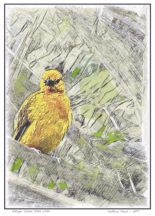 Item #113829610119937179277145653237989536661159515398728099625049874700747008901121 Media