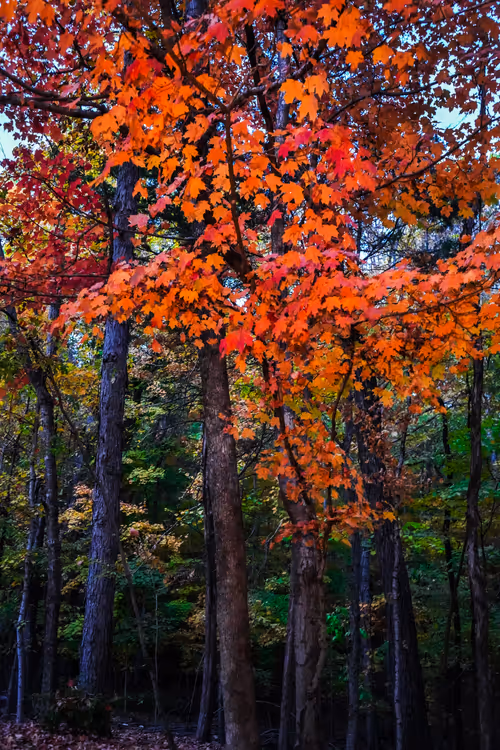 Item #4356313277186310688278388877259686636722187435374575515082253944533620359169 Media