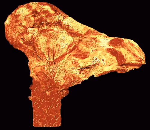 Item #18063966590187803564983313972252836895288362682890717819958697130707673677825 Media