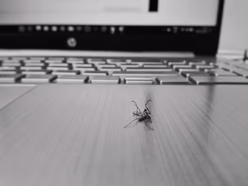 Item #33884978773652834998492452678806383072382496266847956265453593669990547980289 Media