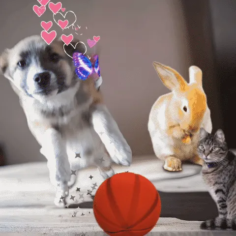 Item #31504810074544391759097526868934907454712974956869218626323321050848833830922 Media