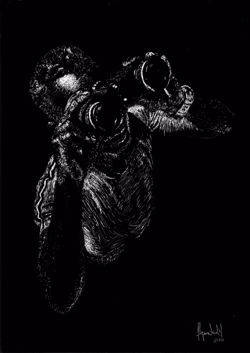 Item #26685294780213694328876254882853348471163190925018140947443939148291463184385 Media