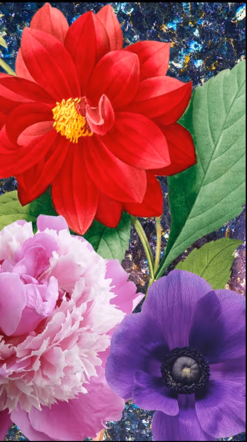 Item #31504810074544391759097526868934907454712974956869218626323320983778624536586 Media