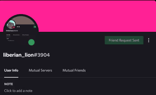 Untitled Collection #69084695