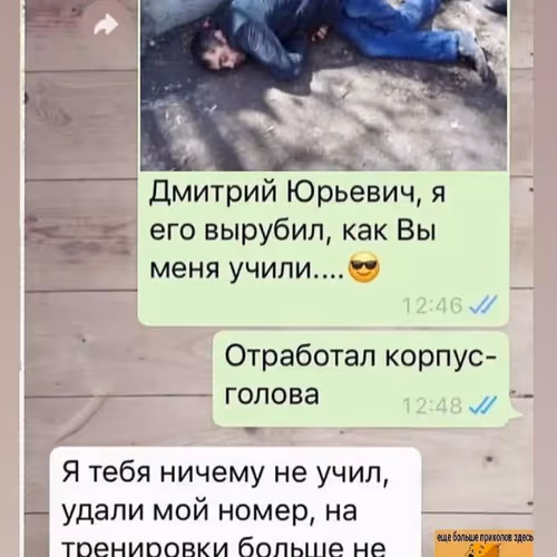 cryptoleo Collection